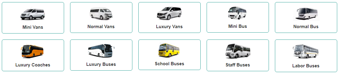 Kinds of Buses
