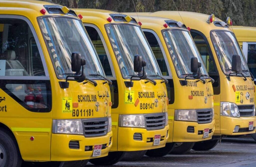 Yellow Buses